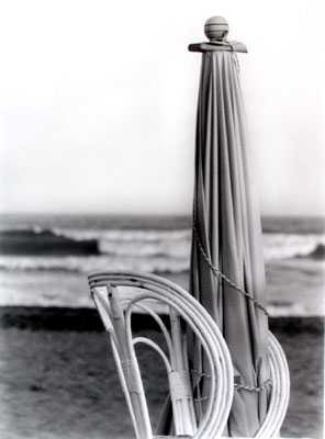 Damián Núñez De Arco