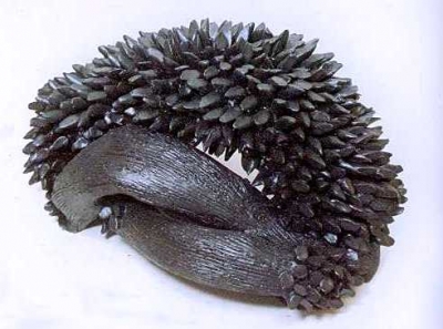 Iná Uehara