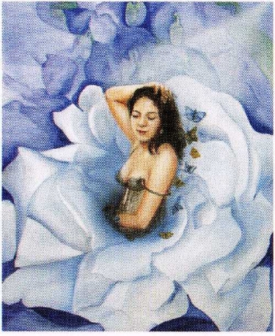 Nanci Marconi