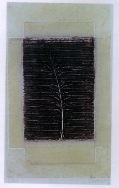 Solange Rossignoli