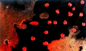 Arte em tempo de Coronavírus (22)