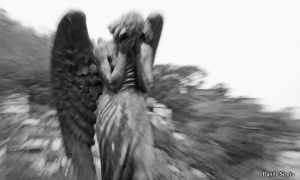 Turbilhão de imagens