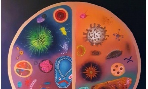 Arte em tempo de coronavírus (432)