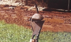 Dijodio