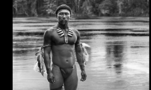 A complexidade amazônica