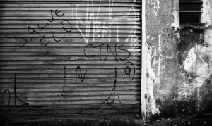 Diversidade caleidoscópica