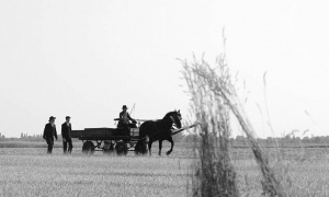 1945