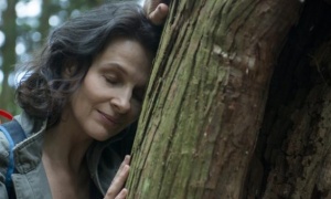 Conexão com a natureza