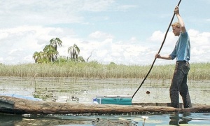 Distância entre culturas