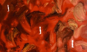 Arte em tempo de Coronavírus (64)