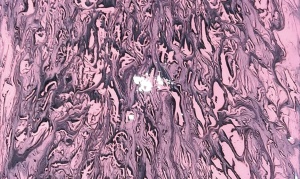 Arte em tempo de Coronavírus (75)