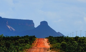 Pílula visual: Estrada, Paisagem e Capim