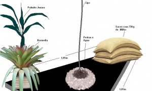 Arte discute questões essenciais